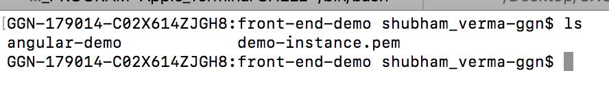 Take remote access of AWS EC2 Linux Instance/Terminal using SSH and public IP